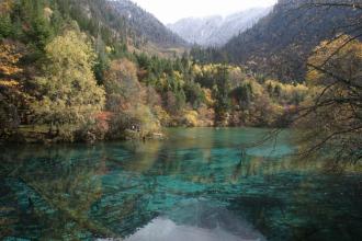 �տ���̬����������