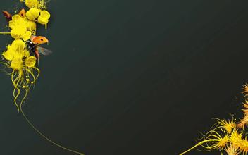 2016����������а�