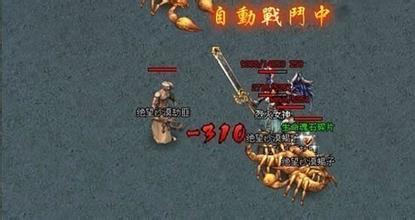 ʢ����Ѫ�������ι���